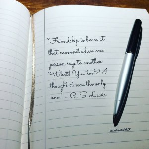 25C4DB20-7BA7-4C6E-905A-87A73E8E34D5