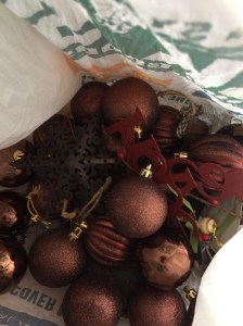 B1466C8F-3E9D-469B-A9DF-9738F28A6635