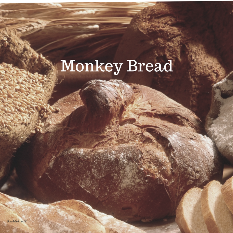 56E1E3E2-3836-483A-8F02-6FFDCA5D5861