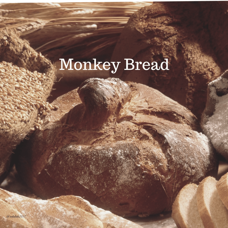 56E1E3E2-3836-483A-8F02-6FFDCA5D5861