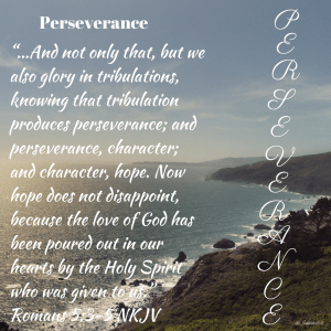 69A10679-A7DE-435C-A2A8-BDDFE94FE2E9