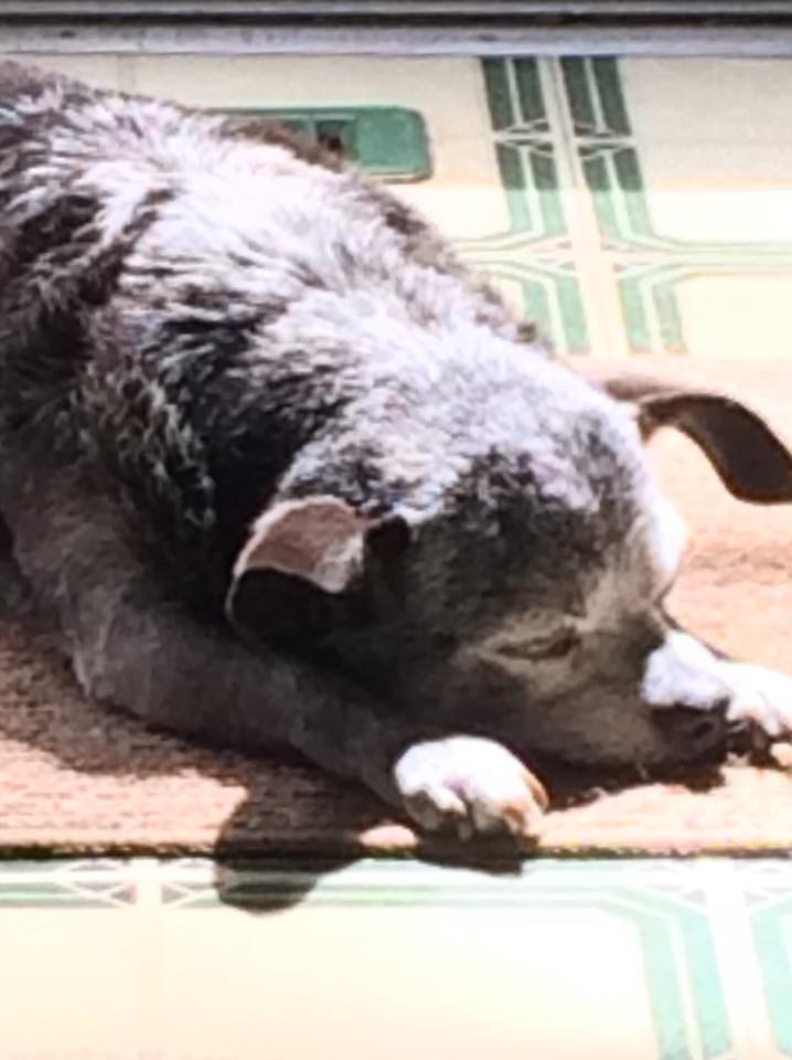 DB5277EE-81EF-4F5A-B880-A51715BC2ECC