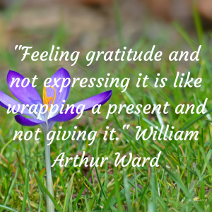 8DAC3976-2858-474C-858C-14F56401488F