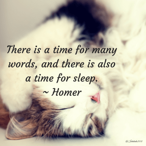 A9A20DE2-8778-48A7-BF50-FDC9F619F23B