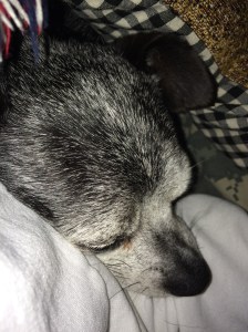 B6C58C3E-91BD-4BEE-BA8D-1F70A1429EAD