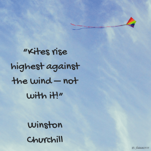 A29A7214-46E4-41B1-99D5-E8CEEB466D30