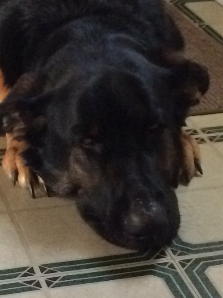 This sums up how I feel. 