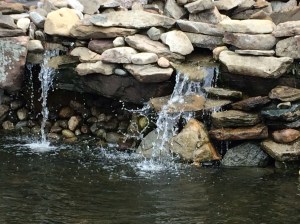 20170329_164542629_iOS