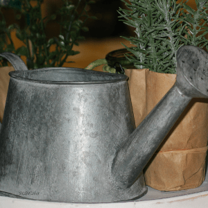 20180501_024629114_iOS