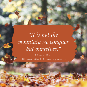 23479DD6-115B-4B38-B85D-B1C468C91251