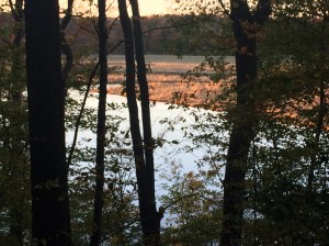 32E350C5-7E23-4828-90C5-B3151CD30899